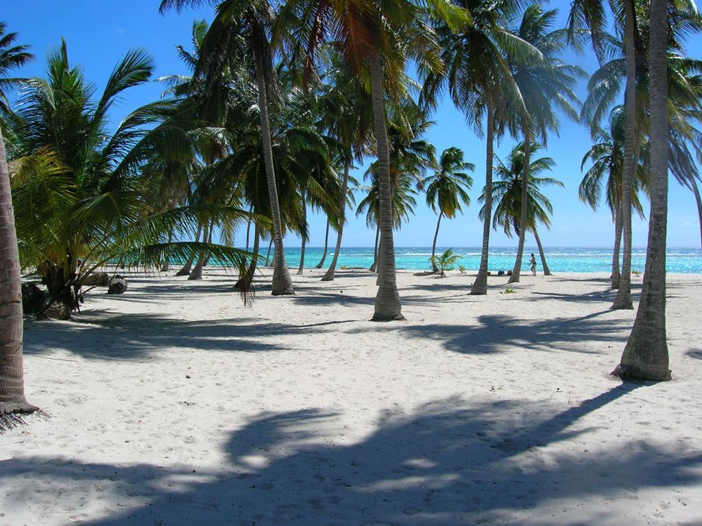 Caraibidamari Hotell Bayahibe Rum bild